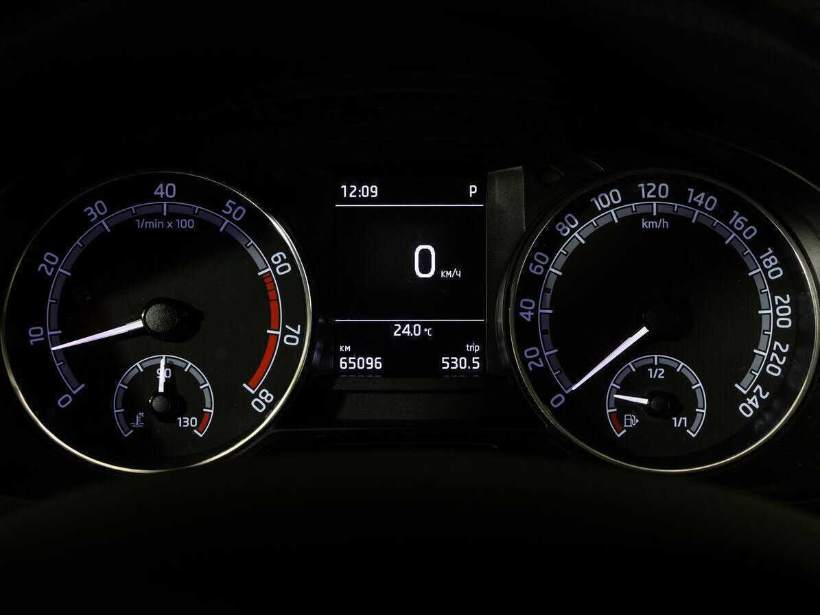 Б/У Шкода Рапид 2019 года. Фото: #14